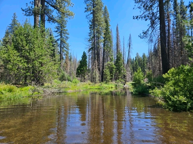 GIF uploaded by Missy