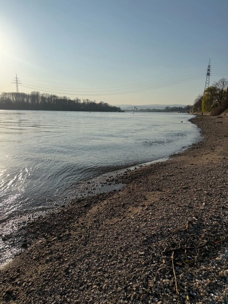 Bild hochgeladen von Ser Can