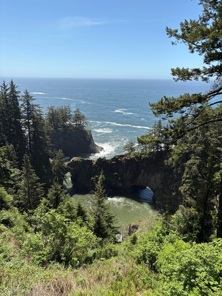 Image uploaded by Rudy