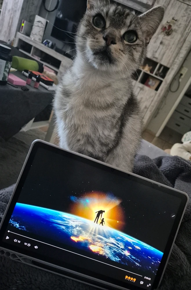 GIF hochgeladen von Chanti