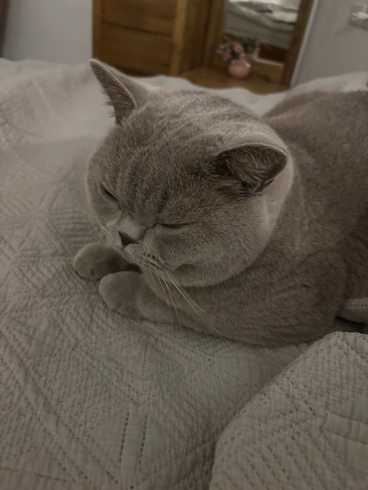 GIF הועלה על ידי Yasmin