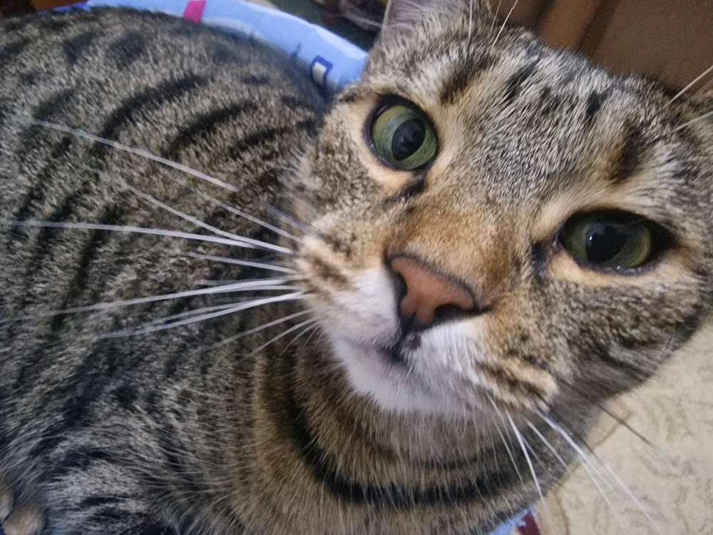 GIF uploaded by Gabriel