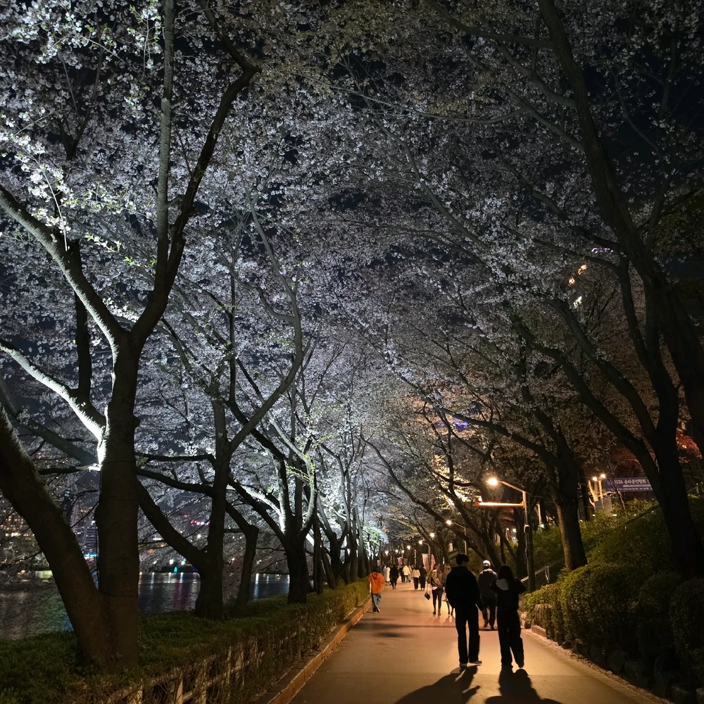 최호열님이 올린 사진