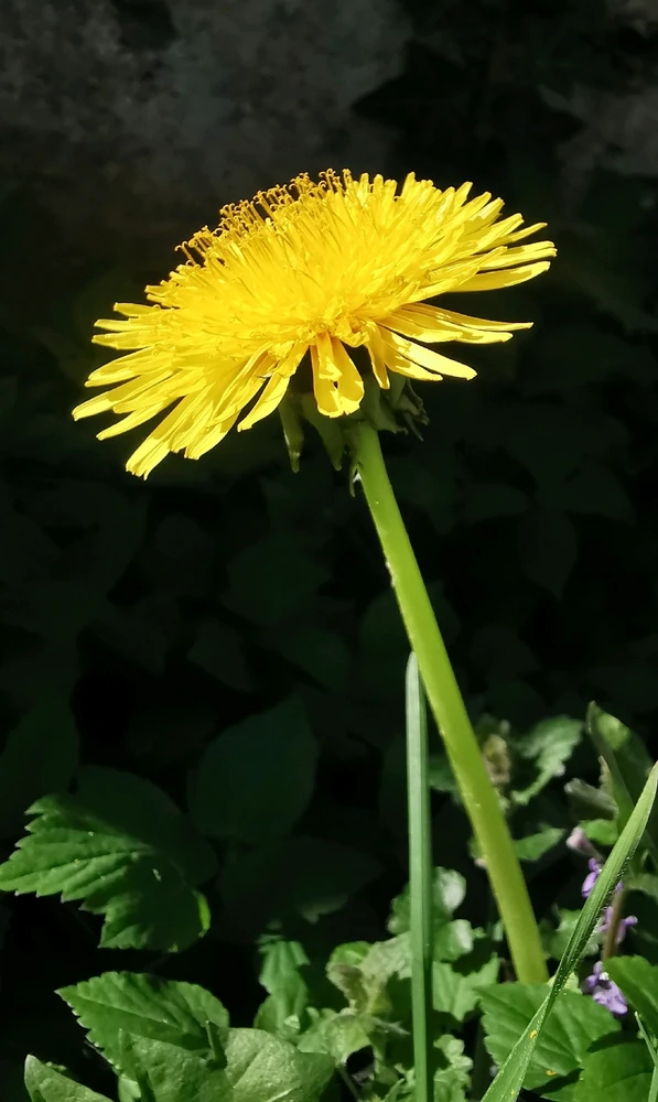 GIF hochgeladen von Martina