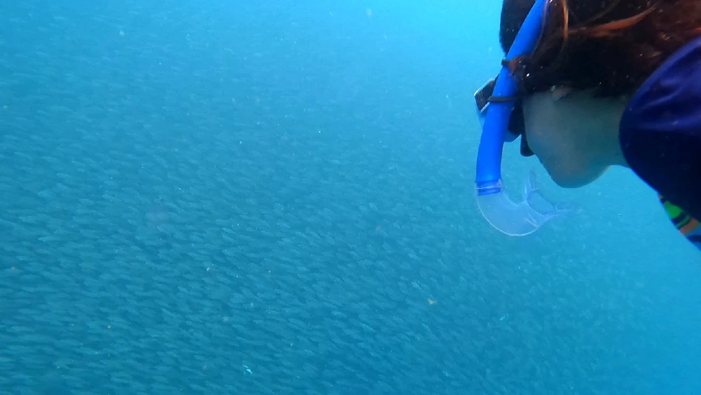 Image uploaded by Deen