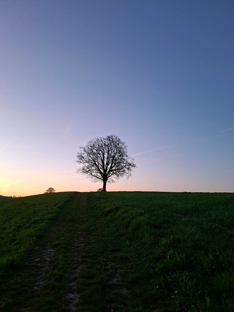 Bild hochgeladen von Lulu