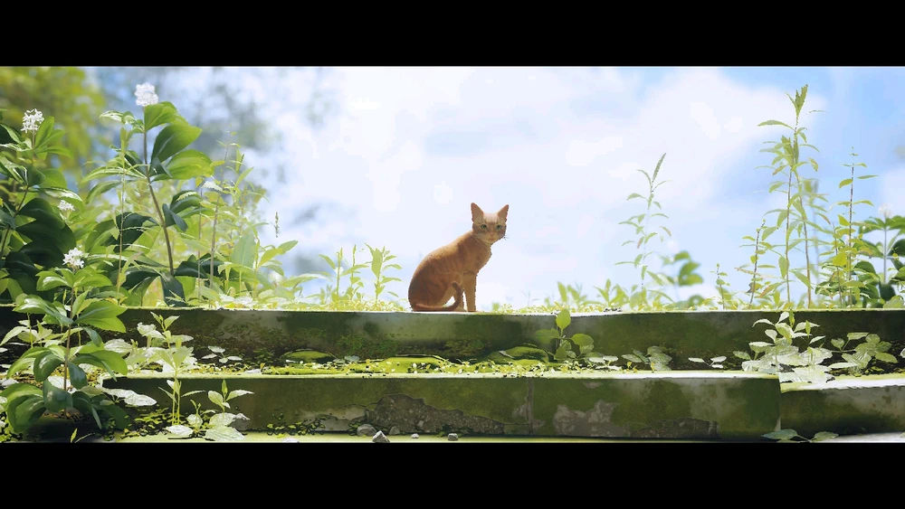 GIF subido por Daniel