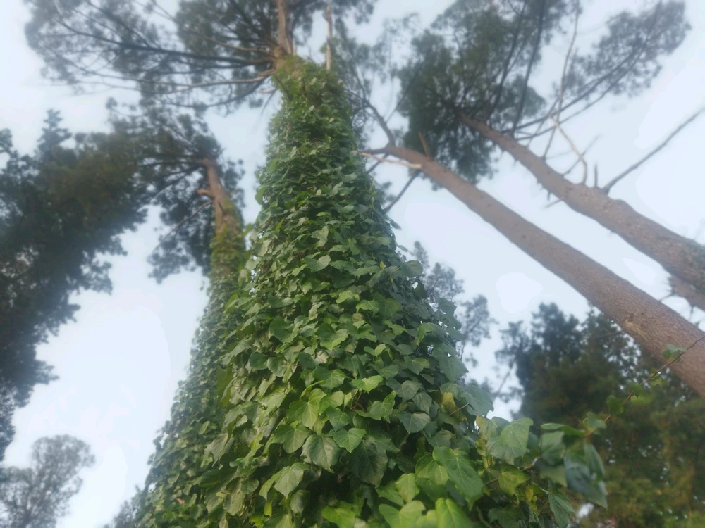 GIF uploaded by Corné olivier