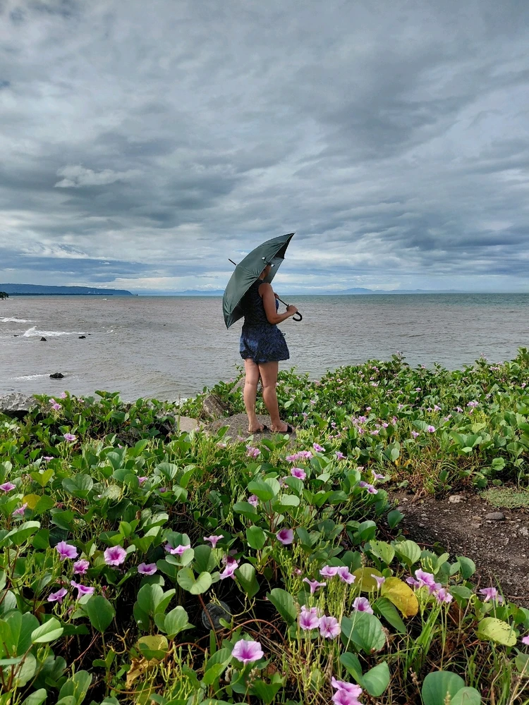 GIF uploaded by Micz