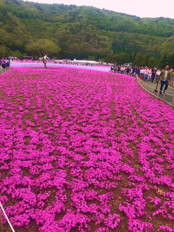 GIF uploaded by Kan(⁠≧⁠▽⁠≦⁠)カンイヤーeleanor