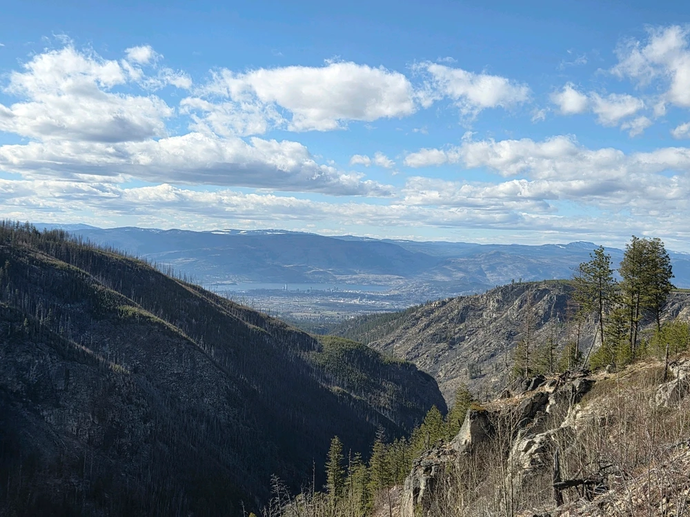 Image uploaded by Aiden