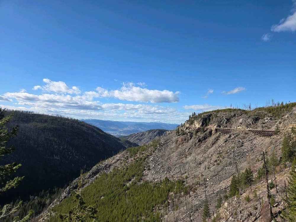 Image uploaded by Aiden