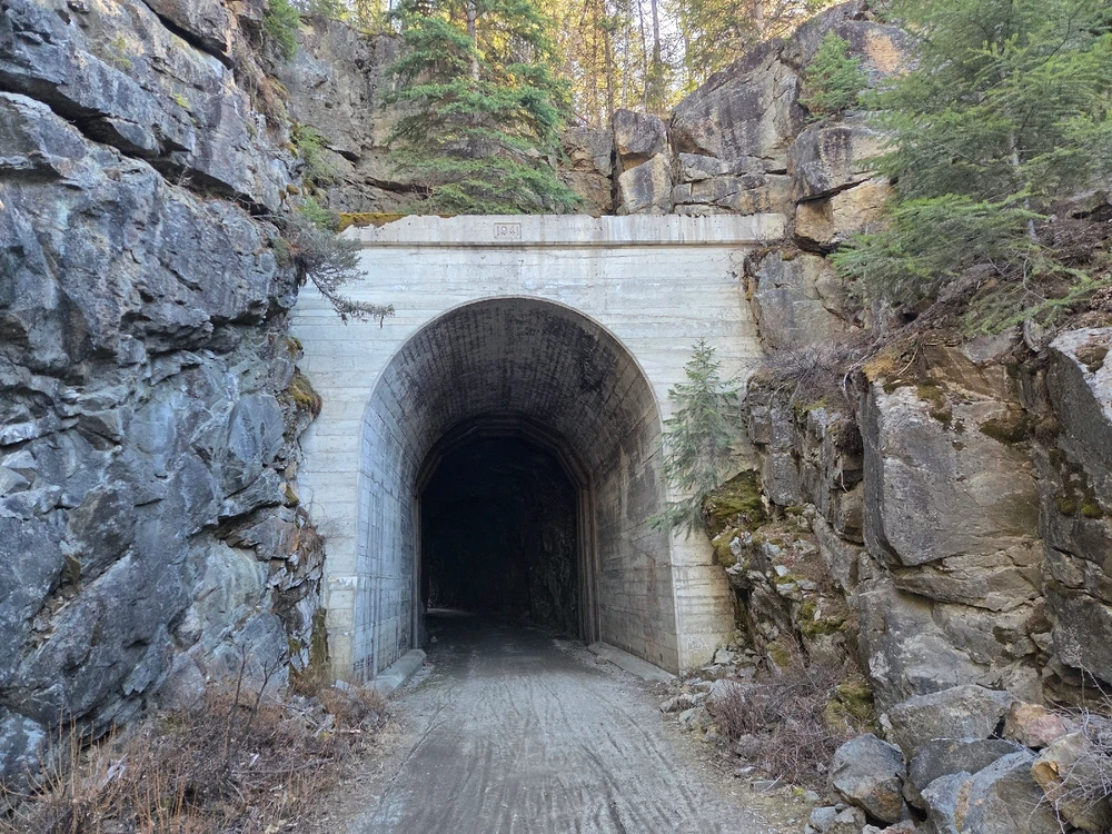 Image uploaded by Aiden