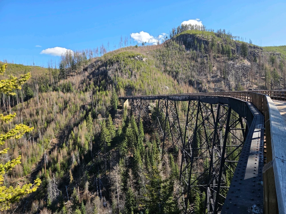 Image uploaded by Aiden