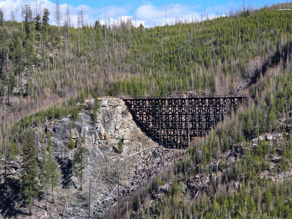 Image uploaded by Aiden