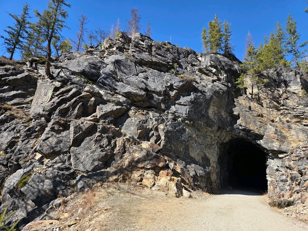 Image uploaded by Aiden