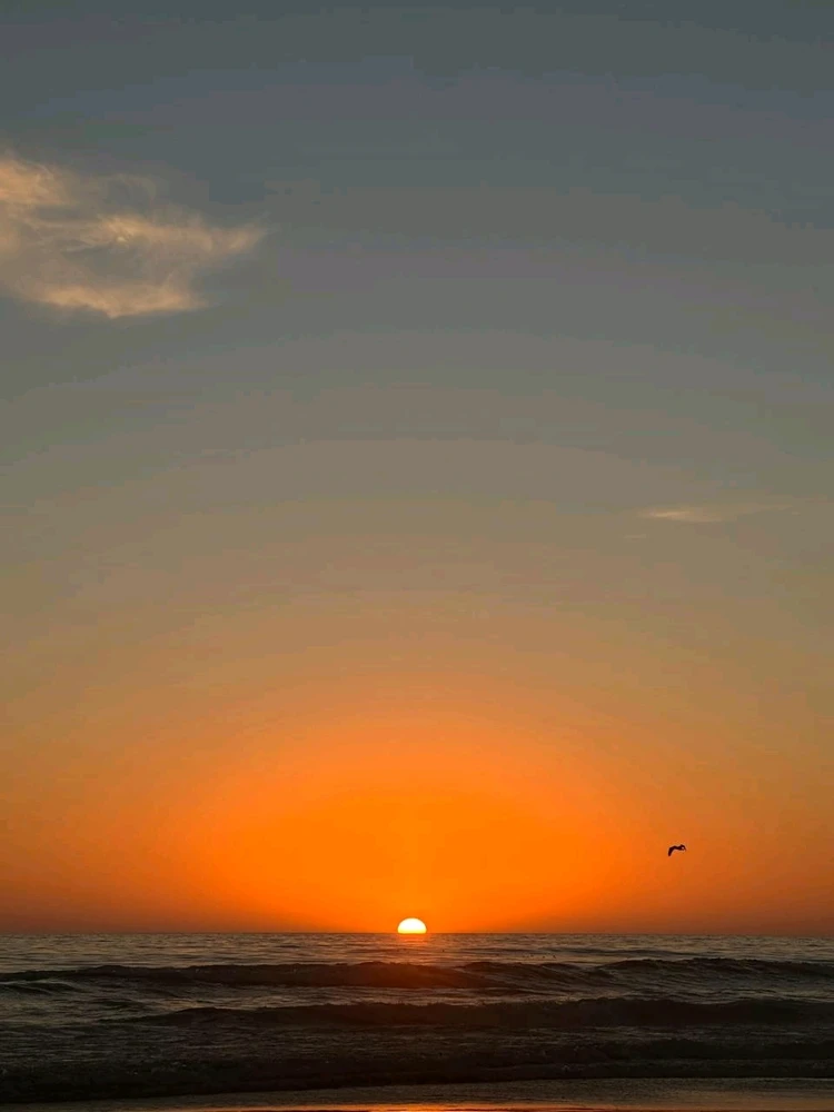 GIF subido por Andrea