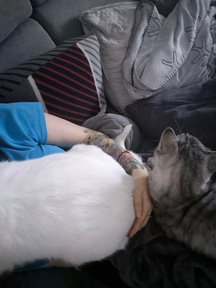 GIF hochgeladen von Chanti