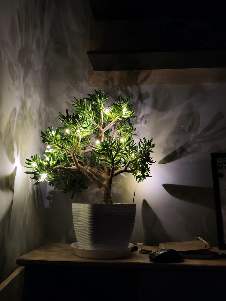 GIF dodany przez Moveri