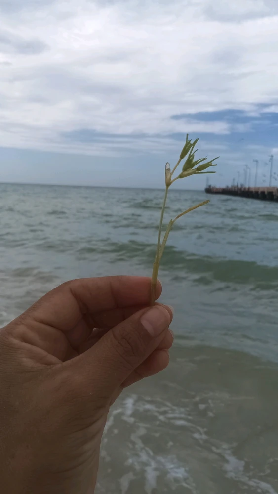 Image uploaded by Hanna