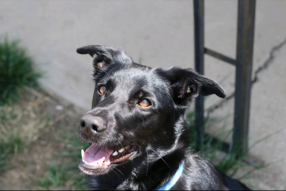 Image uploaded by Liz