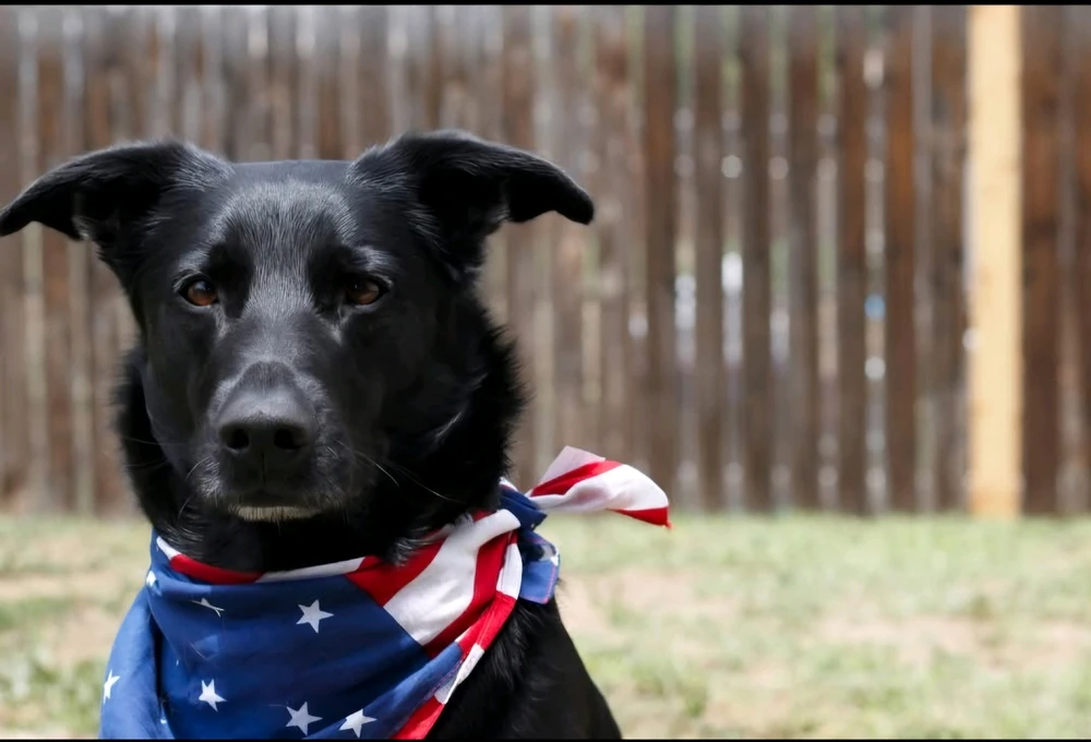 Image uploaded by Liz