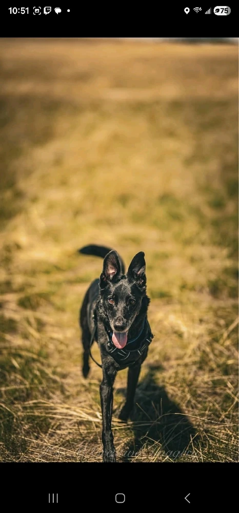 Image uploaded by Liz