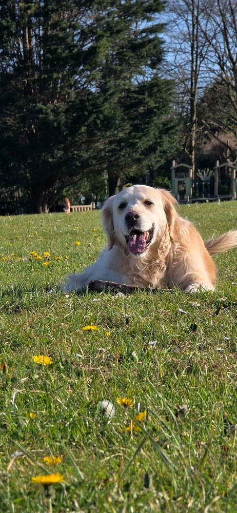 GIF uploaded by Marley