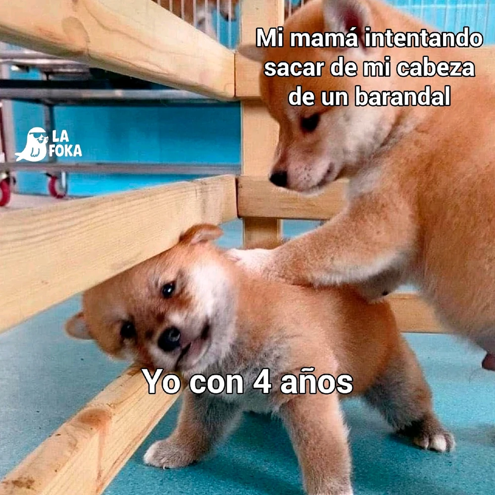GIF subido por Oz