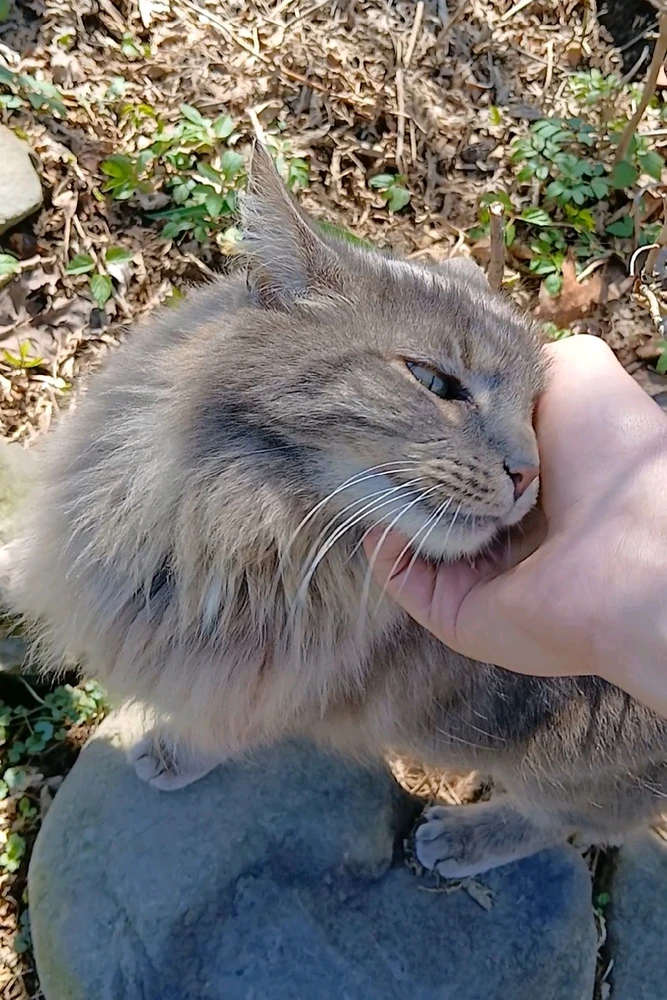 GIF uploaded by Howard