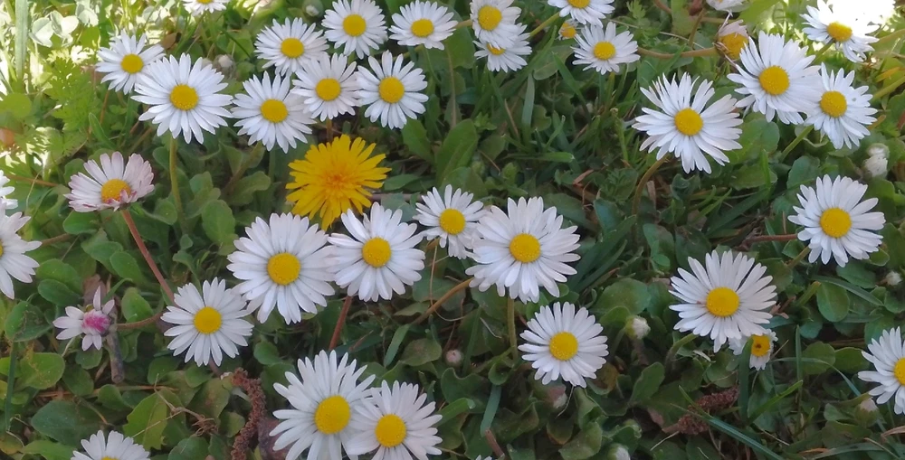 Image uploaded by Kas