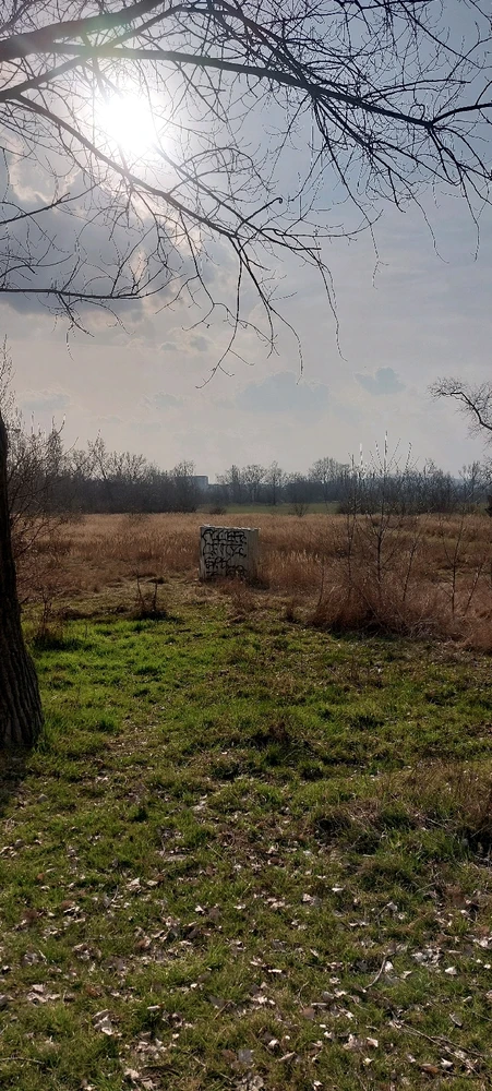 Image uploaded by Zach ♰