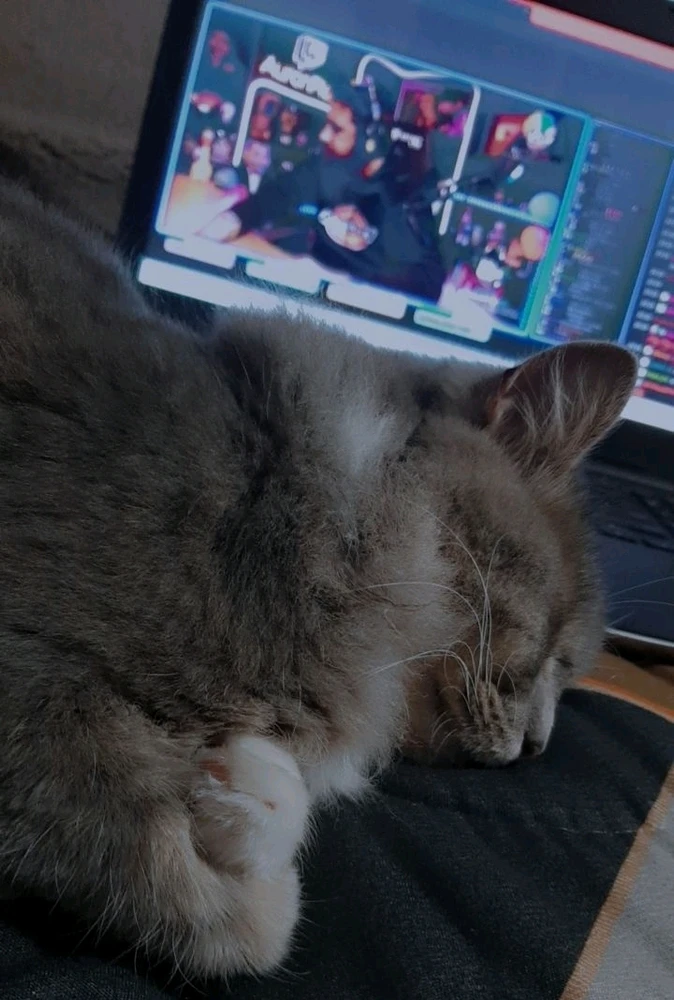 GIF subido por Karelys
