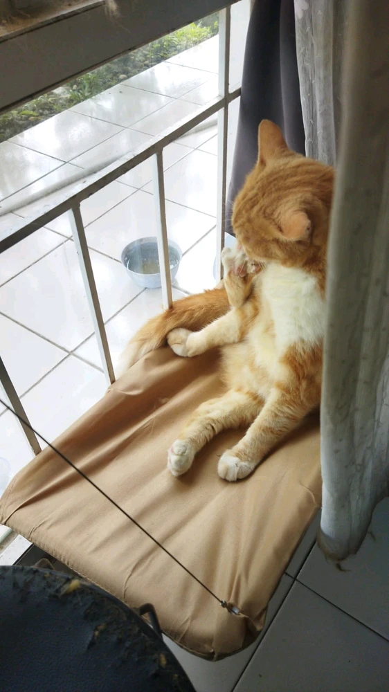 GIF uploaded by asu dahlah