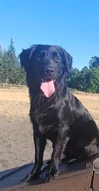 GIF uploaded by Ash