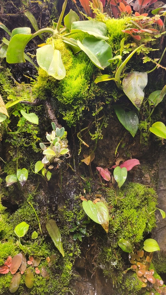 GIF uploaded by K