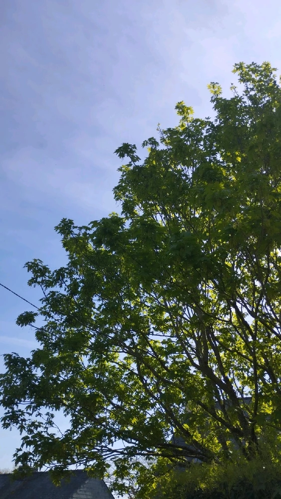 GIF ajouté par Océane 🦋