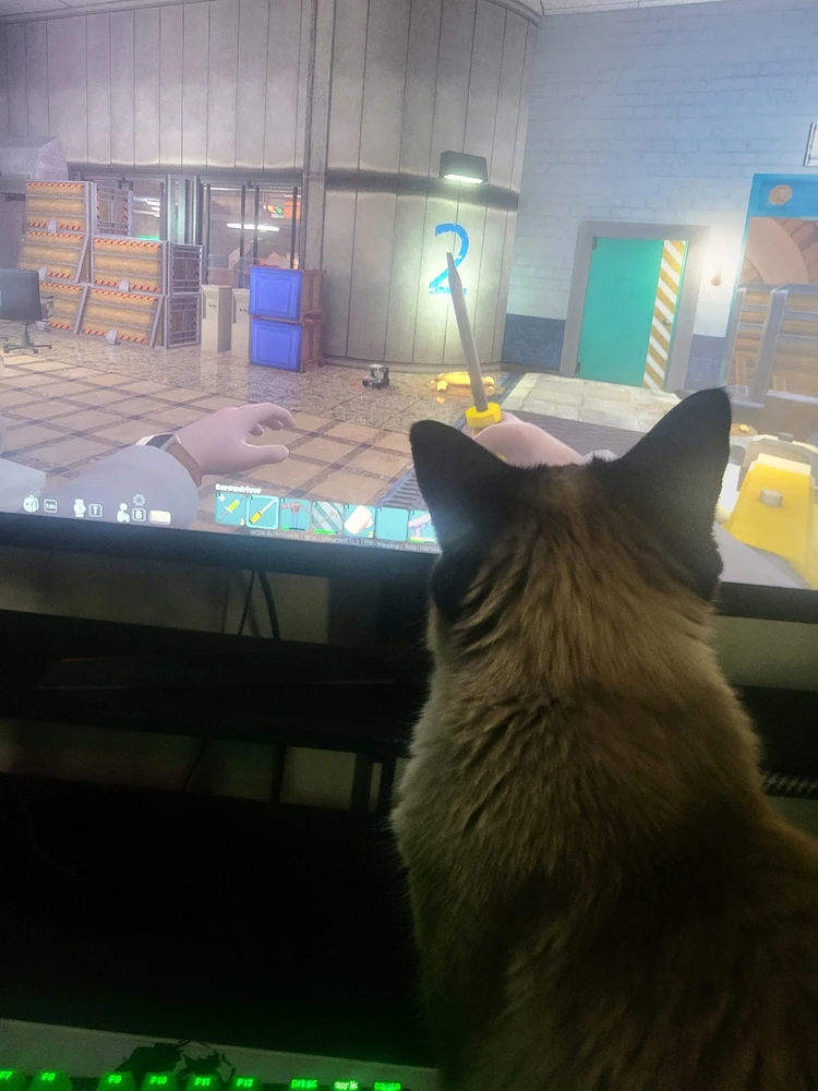 GIF uploaded by Thomas