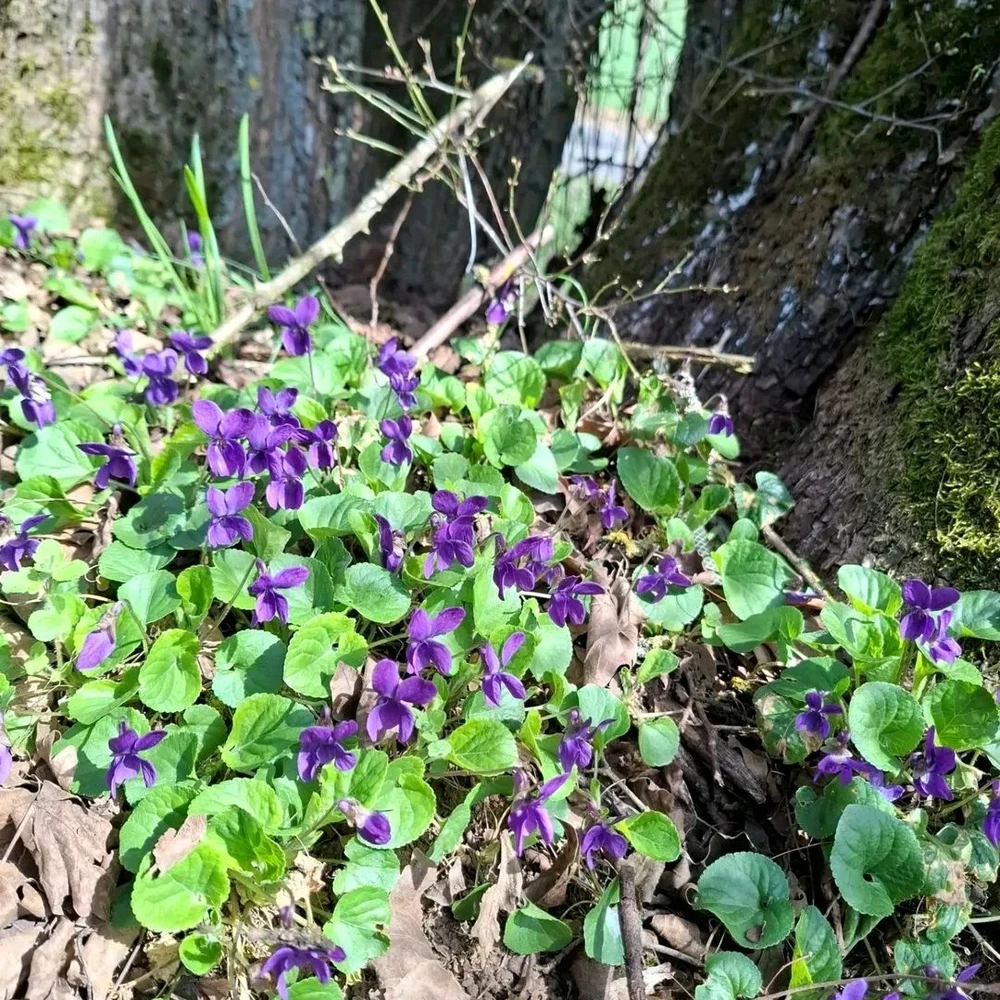 Bild hochgeladen von Rosario