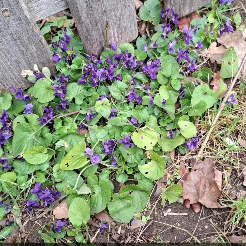 Bild hochgeladen von Rosario