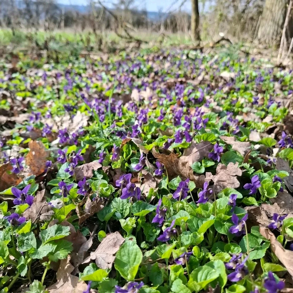 Bild hochgeladen von Rosario
