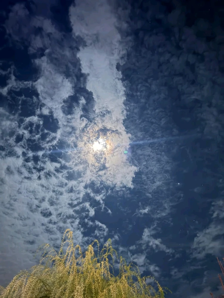 GIF uploaded by Mariana