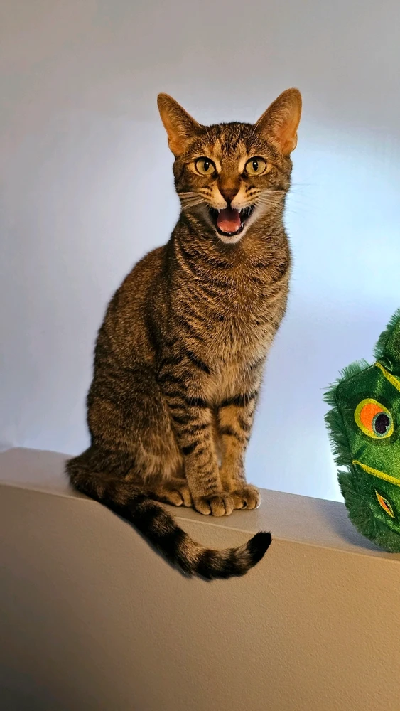 GIF uploaded by Andrew