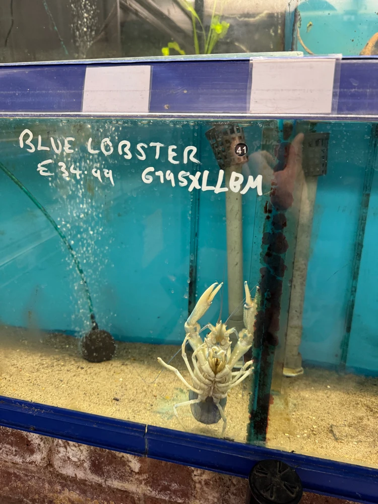 GIF uploaded by Jacob