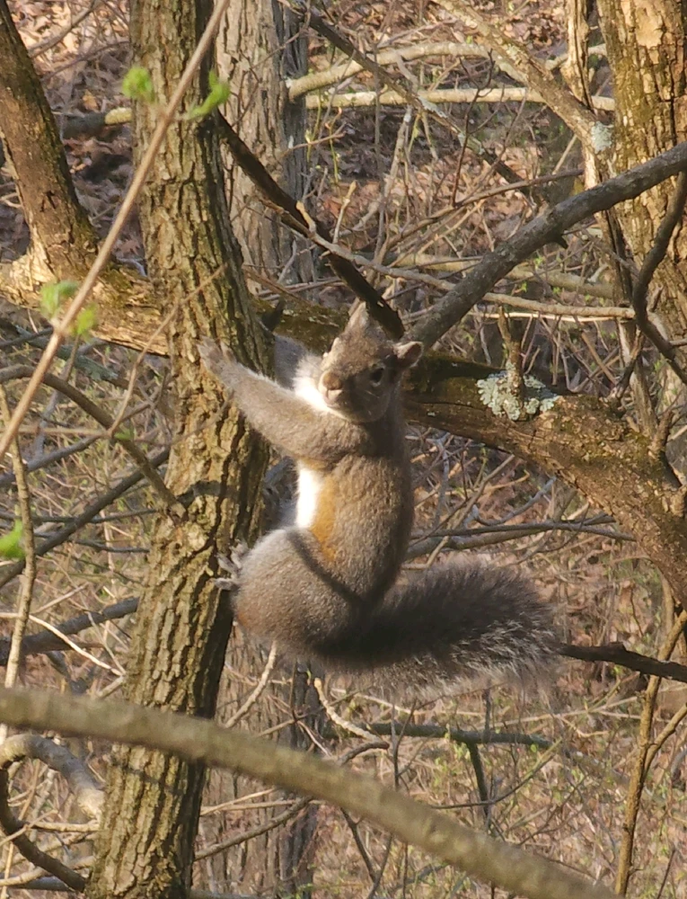 GIF uploaded by Mike