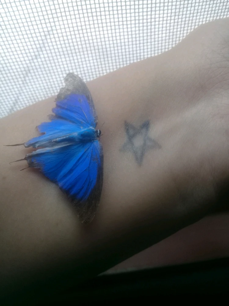 GIF subido por Jade