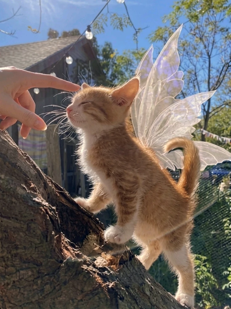 GIF uploaded by 𝐃ꨄ