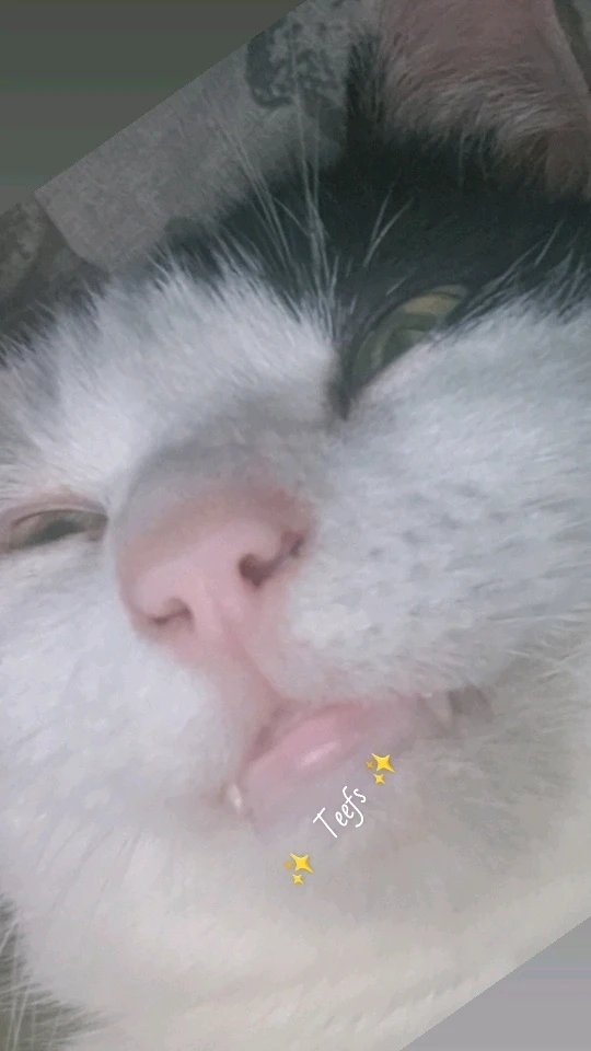 GIF uploaded by Steven