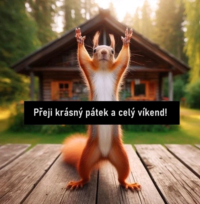 GIF nahrál zero