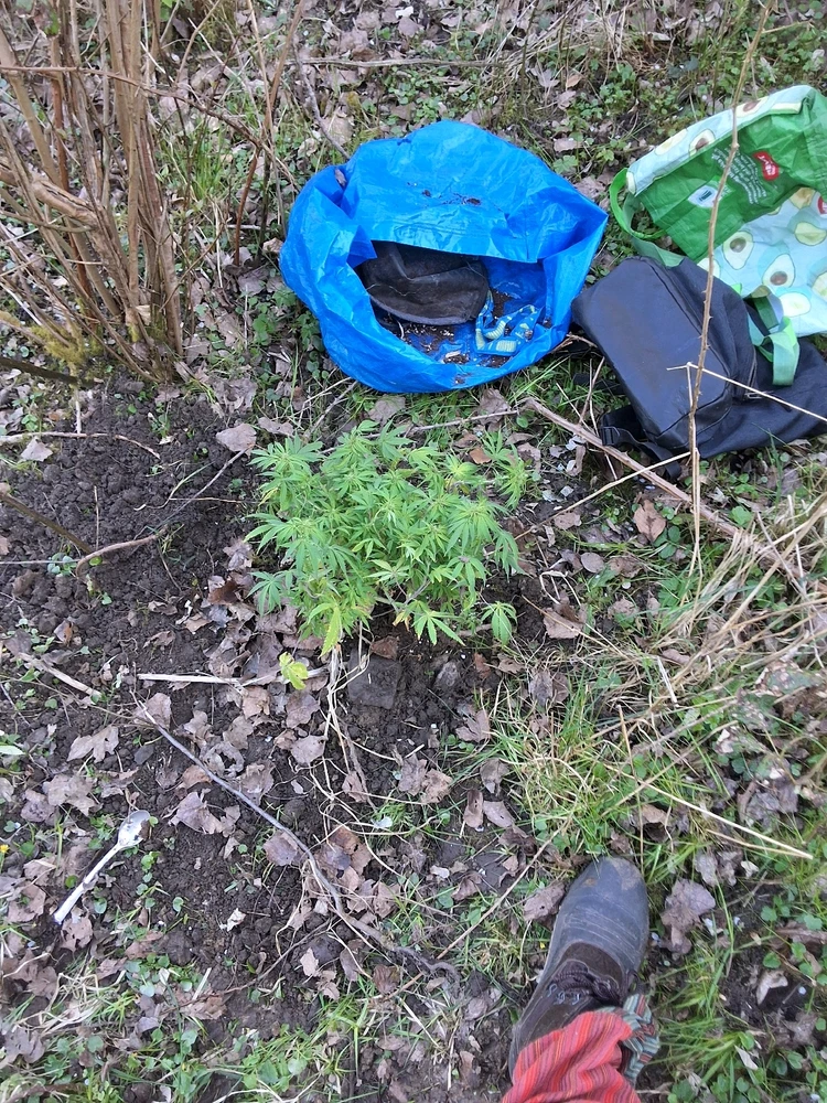 Bild hochgeladen von 𝔊𝔩𝔢𝔫